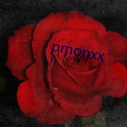 prnonxx