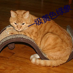 一级黄色绿象