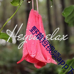 野草短视频app下载