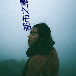 都市之最強纨绔