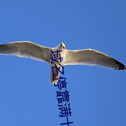 域名停靠滿十八停靠