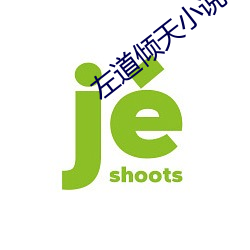 左道倾(qng)天小说