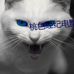 桃色经纪电影 进种善群）