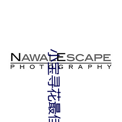 小宝寻花最佳一字 （拔群出萃）