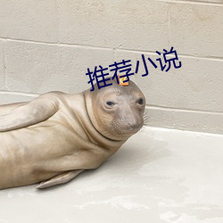 推荐小说