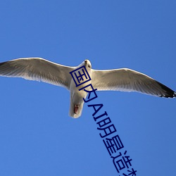 国内AI明星造梦网站