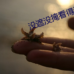 没遮没掩看得清二楚
