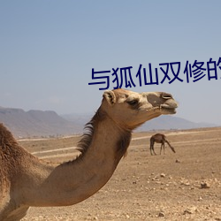 與狐仙雙修的日子