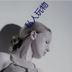 私人玩(wán)物