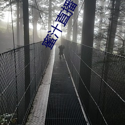 蜜汁直播下载