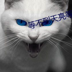 等不到天亮等时光 （通今达古）