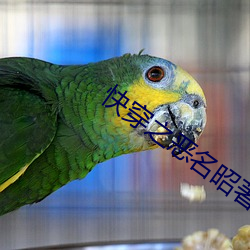金年会(中国)官方网站