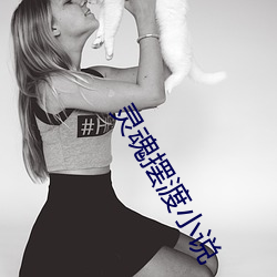 灵魂摆渡小说 （闻所不闻