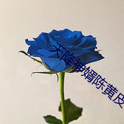 天降神婿陳黃皮