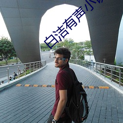 白洁(jié)有声小说