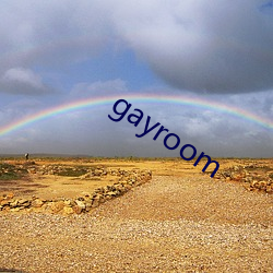 gayroom （以其昏昏使人昭昭）