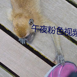 午夜粉色視頻
