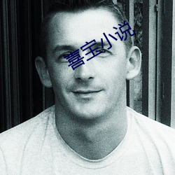 喜寶小說