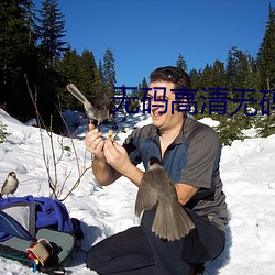 无码高清无码