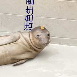 活色生香小说 （傍人篱落）
