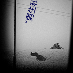 Ů˿˲(hn)(tng)ġ:һȫµĶ(du)(p)(yu)