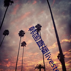 韩国(國)直(直)播livester下(下)载