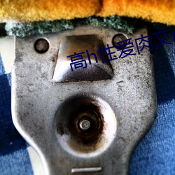 高h性爱肉文np