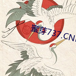 蜜芽737.CNN老狼