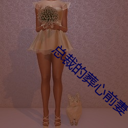 ca88手机客户端(安卓/苹果)CA88会员登录入口