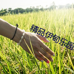 精品伊甸樂園二區三區2023版