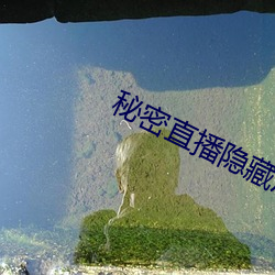 九游会登录j9入口 - 中国官方网站 | 真人游戏第一品牌