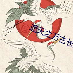 遮天之(之)万古长(長)空(空)