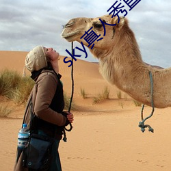 sky真(zhēn)人秀直播平(píng)台