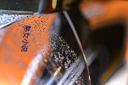 熟女小說