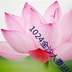 1024金沙(shā)人(rén)妻旧片你懂(dǒng)的