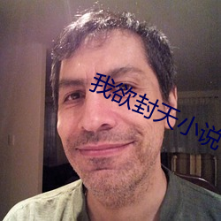 我(我)欲封天(天)小(小)说