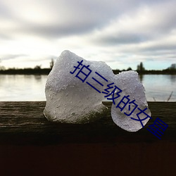 拍三級的女星