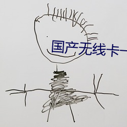 國産無線卡一卡二