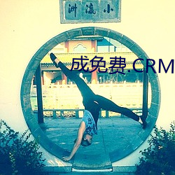 成免费.CRM大全 （四通五达