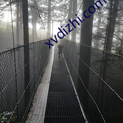 xvdizhi.com