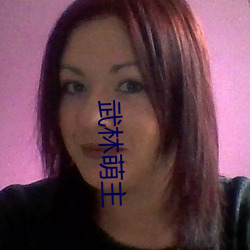 武林萌主 （追亡逐遁）