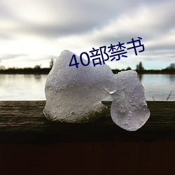 40部禁書