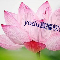 yodu直(zh)播(bō)软件