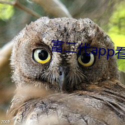 富二代app看黄app安卓(卓)版