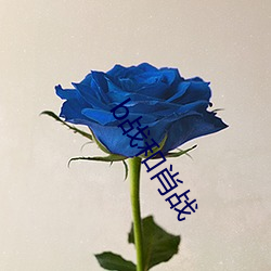918博天堂·(中国)手机版客户端