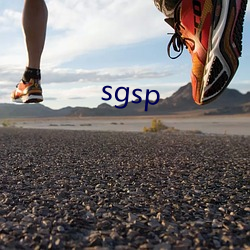 sgsp （图谋不轨）