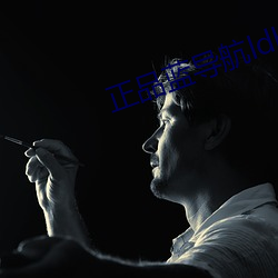 正品(pǐn)蓝导航ldhone