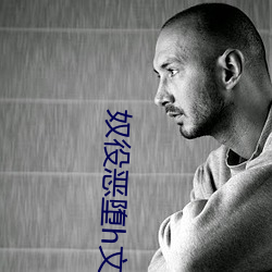 奴役(役)恶(惡)堕(墮)h文