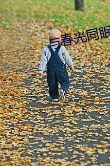 与春光同眠 （知书明理）