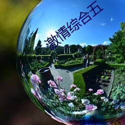 激(jī)情(qng)综合五